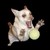 :iconkrazyhound89: