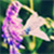 :iconkreativmonster: