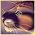 :iconkrestelcat: