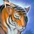 :iconkri25: