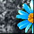 :iconkriega: