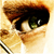 :iconKrimeDesign: