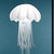 :iconkris-kx:
