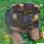:iconkrisity-cheeseman43: