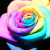 :iconkrismadden:
