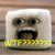 :iconkrisolrdc: