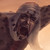 :iconkrisphero: