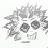 :iconkrissur: