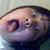 :iconkristal-kleer: