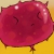 :iconkristalis: