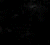 :iconkristiant: