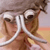 :iconkristina-becker: