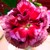 :iconkristinaattack11122:
