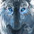 :iconkristopheb96: