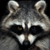 :iconkritter007: