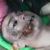 :iconkrizcore: