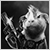 :iconkrokiart: