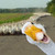 :iconkromisback:
