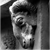 :iconkronnet: