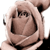 :iconkrosskreations: