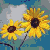 :iconkrstn7727: