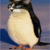 :iconkruciatus: