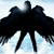 :iconkrules6: