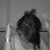 :iconkry-kry:
