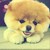 :iconkryskaa: