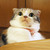 :iconkrysta30: