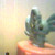 :iconkrystal12345: