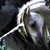 :iconkrystalgail: