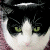 :iconkrystalkat: