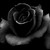 :iconksac90: