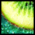 :iconksisson: