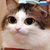 :iconksushathecat2013: