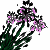 :iconKTfighter:
