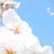 :iconktp132: