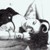 :iconktparkes: