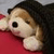 :iconkuanshizzle: