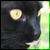 :iconkuchikixxkumori: