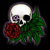 :iconkudox: