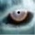 :iconkugetski505: