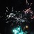 :iconkuki19090: