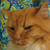 :iconkukulemonlime: