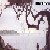 :iconkumaf: