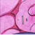 :iconkumo-9: