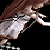 :iconkumuri-chan: