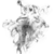 :iconkunaguaro: