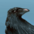 :iconkundendienst: